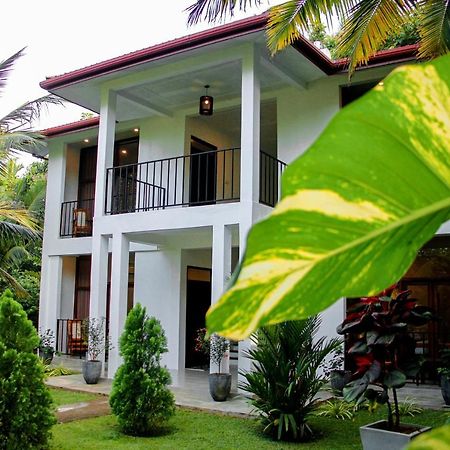 Manike Lodge Habarana Zewnętrze zdjęcie