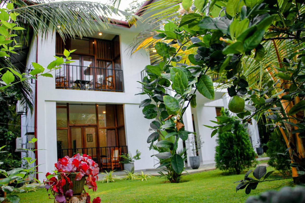 Manike Lodge Habarana Zewnętrze zdjęcie