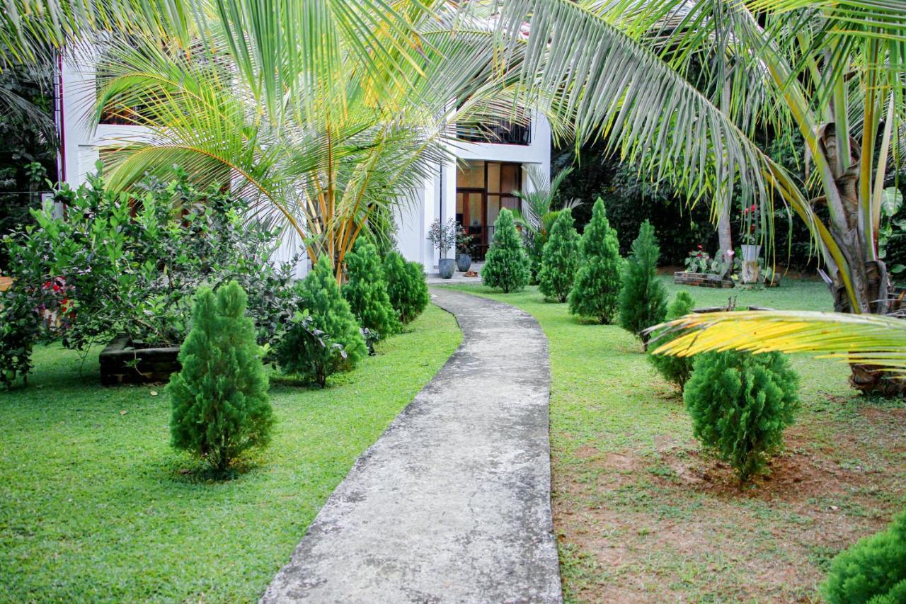 Manike Lodge Habarana Zewnętrze zdjęcie